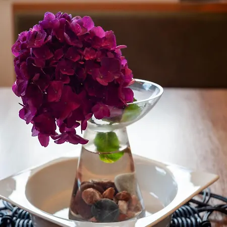 Premium Im Zillertal * هارت إم زيلرتال